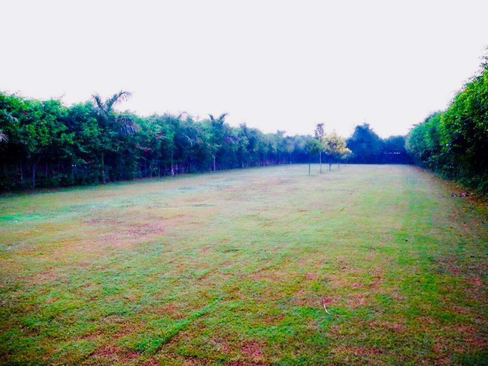 Hotel V Chambal Paradise 3*