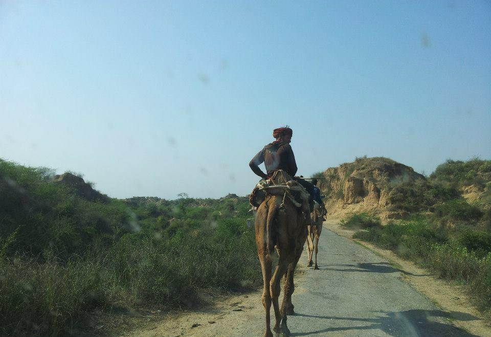 V Chambal Paradise Hotel 3*