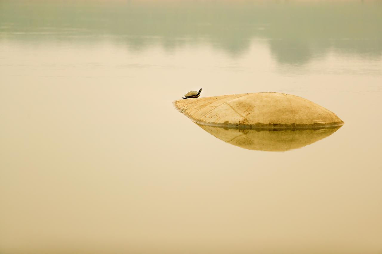 V Chambal Paradise Hotel