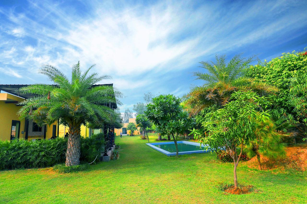 Hotel V Chambal Paradise 3*