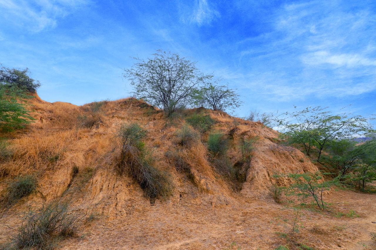 Hotel V Chambal Paradise